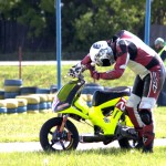 optik ds2